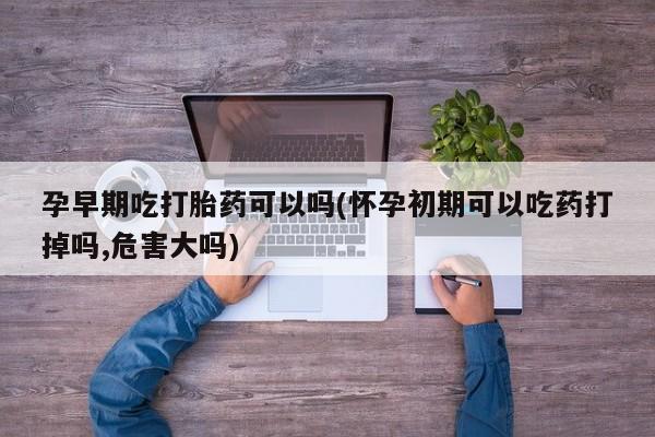 私下卖打胎药的联系方式，孕早期吃打胎药可以吗(怀孕初期可以吃药打掉吗,危害大吗)