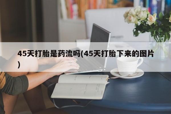 admin 第894页