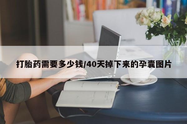 私下卖打胎药的联系方式，打胎药需要多少钱/40天掉下来的孕囊图片